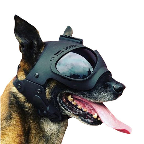 Masque pour chien CASQUE K9 Morin - Noir - Welkit.com